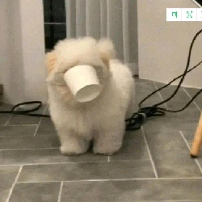 保持热爱！