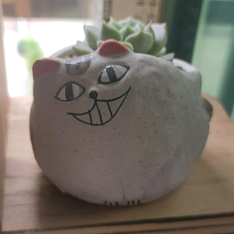风的声音