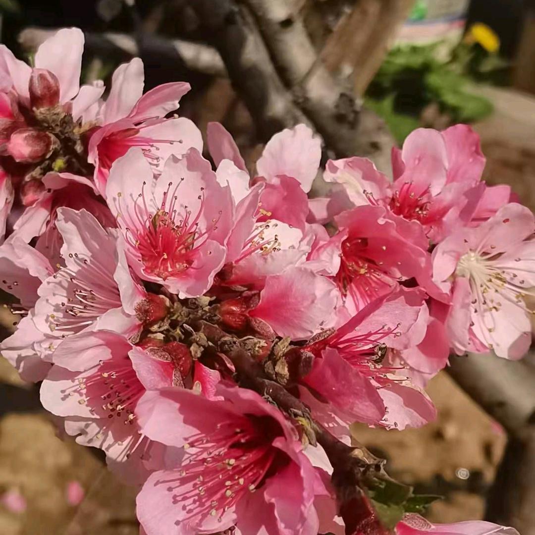 骏泽