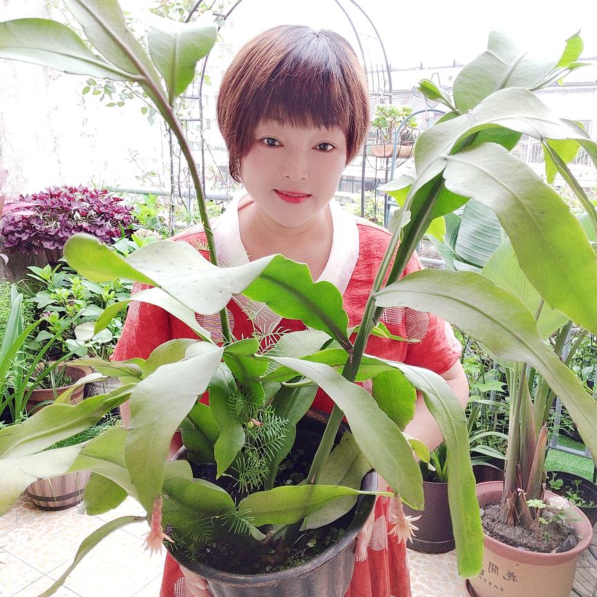 养花蓝玉姐🍀