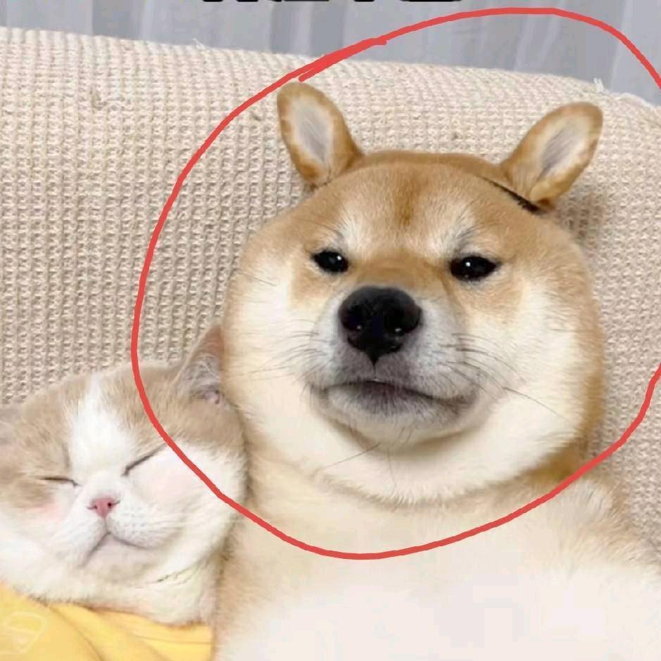 装满水的敖兴头像