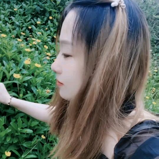 🌸笨丫头🌸