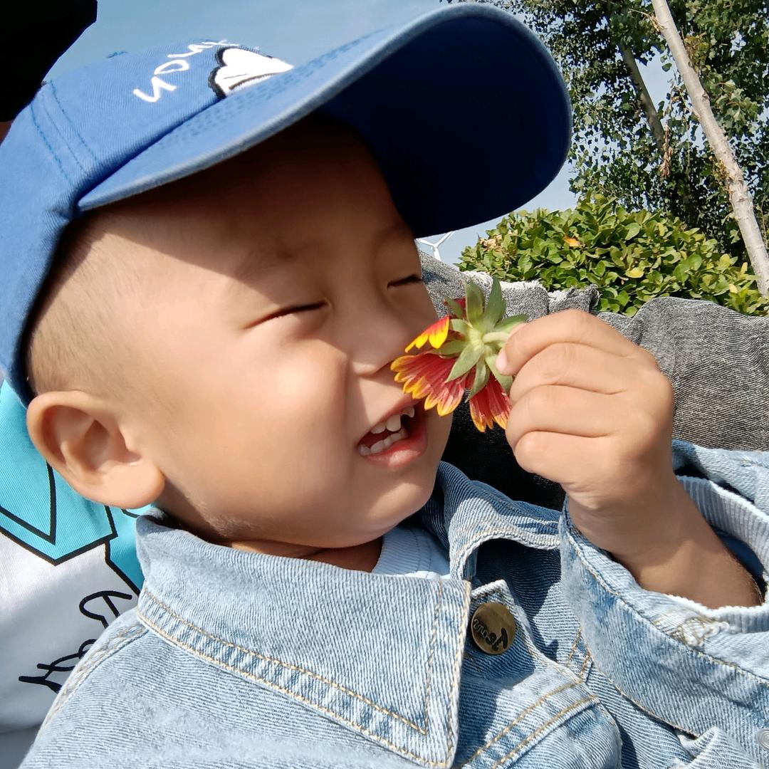 🕊家有三宝ృ༊