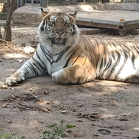 新能源动力锂电池生产厂家