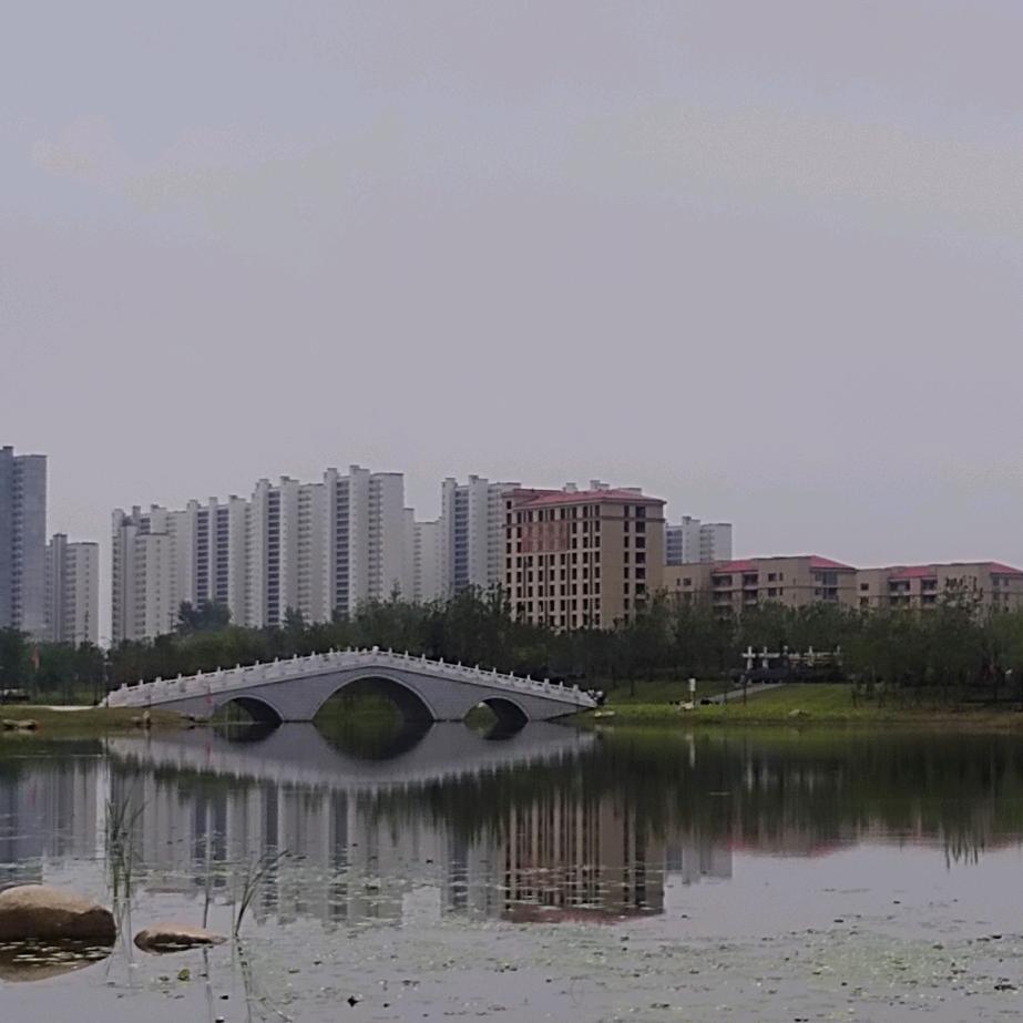 他说她是他的那个她