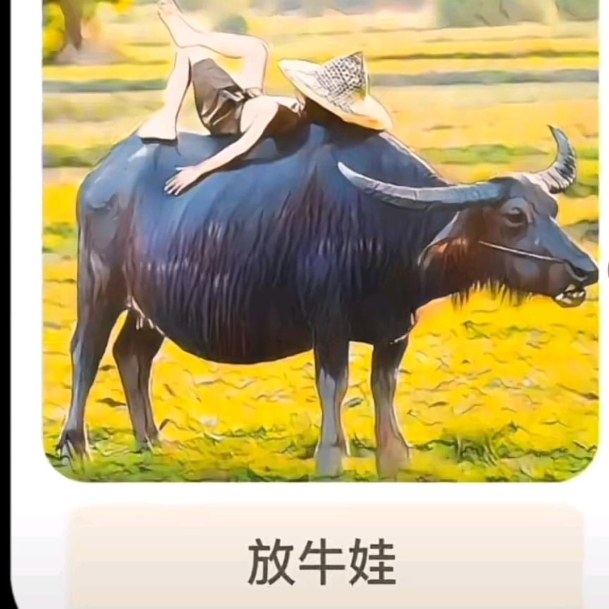 你是我唯一的唯一