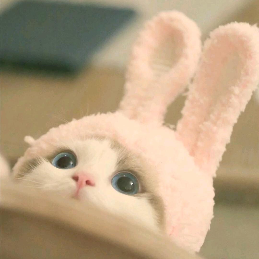 罗