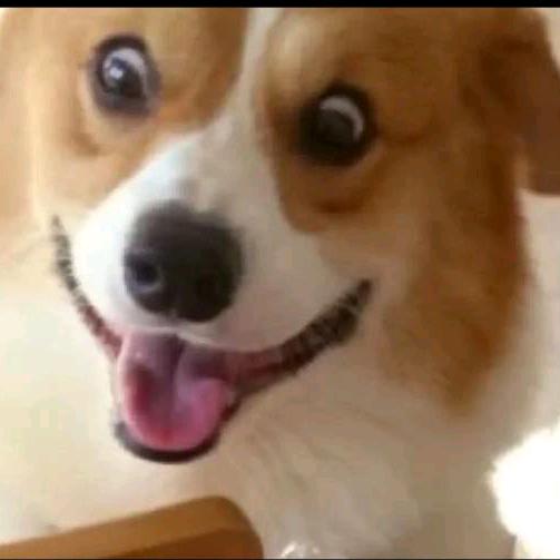 长安