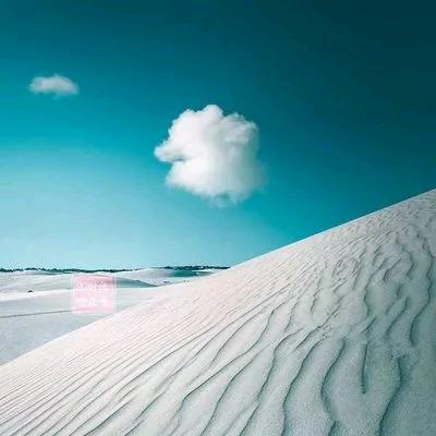 乌海海勃湾区鲜多多果蔬园