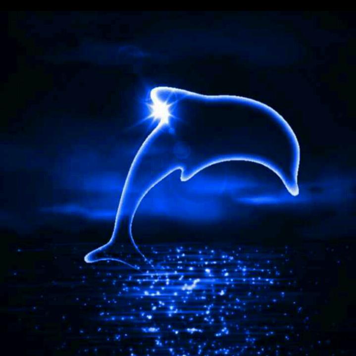 DOLPHIN