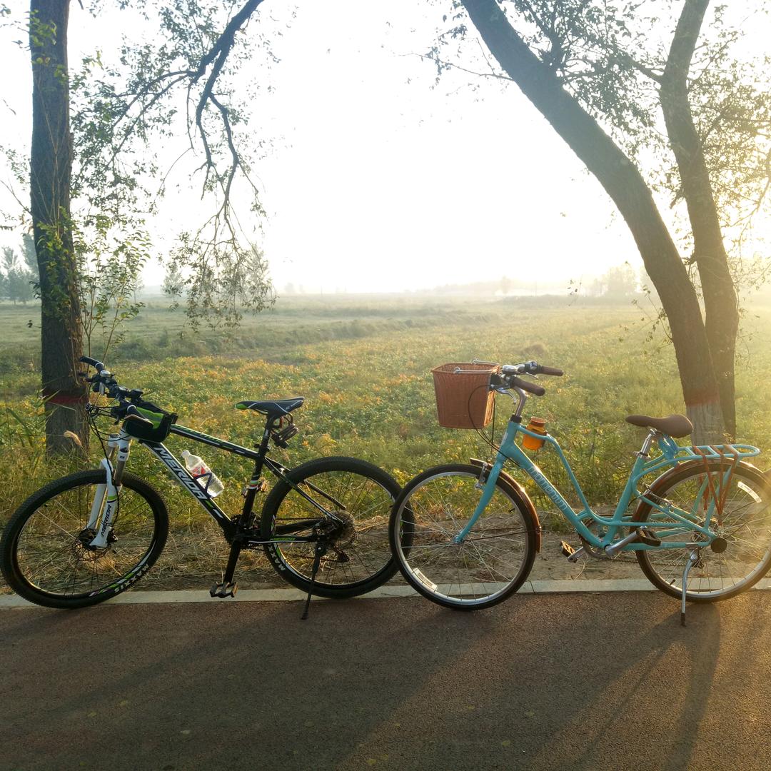 灰熊界最靓的崽