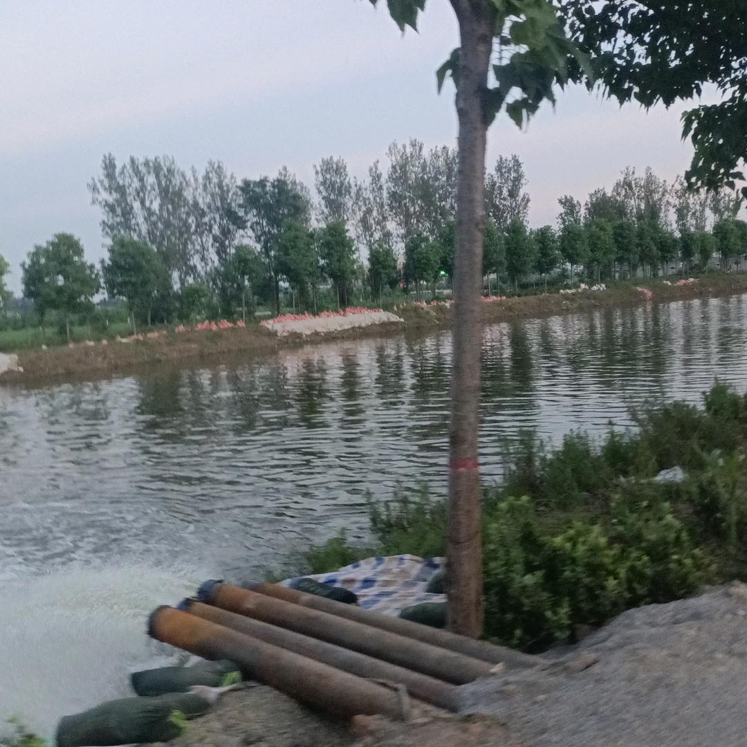 泽泽