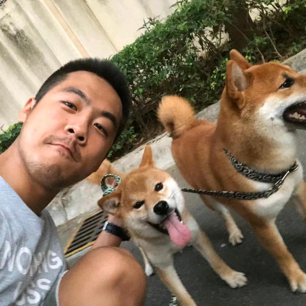 柴十七