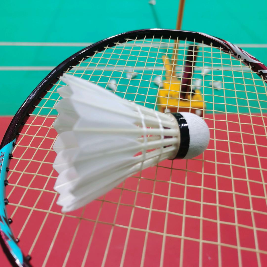 杨杨杨羽球🏸