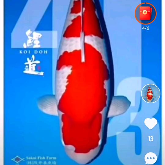 华茂锦鲤（原齐晟锦鲤）