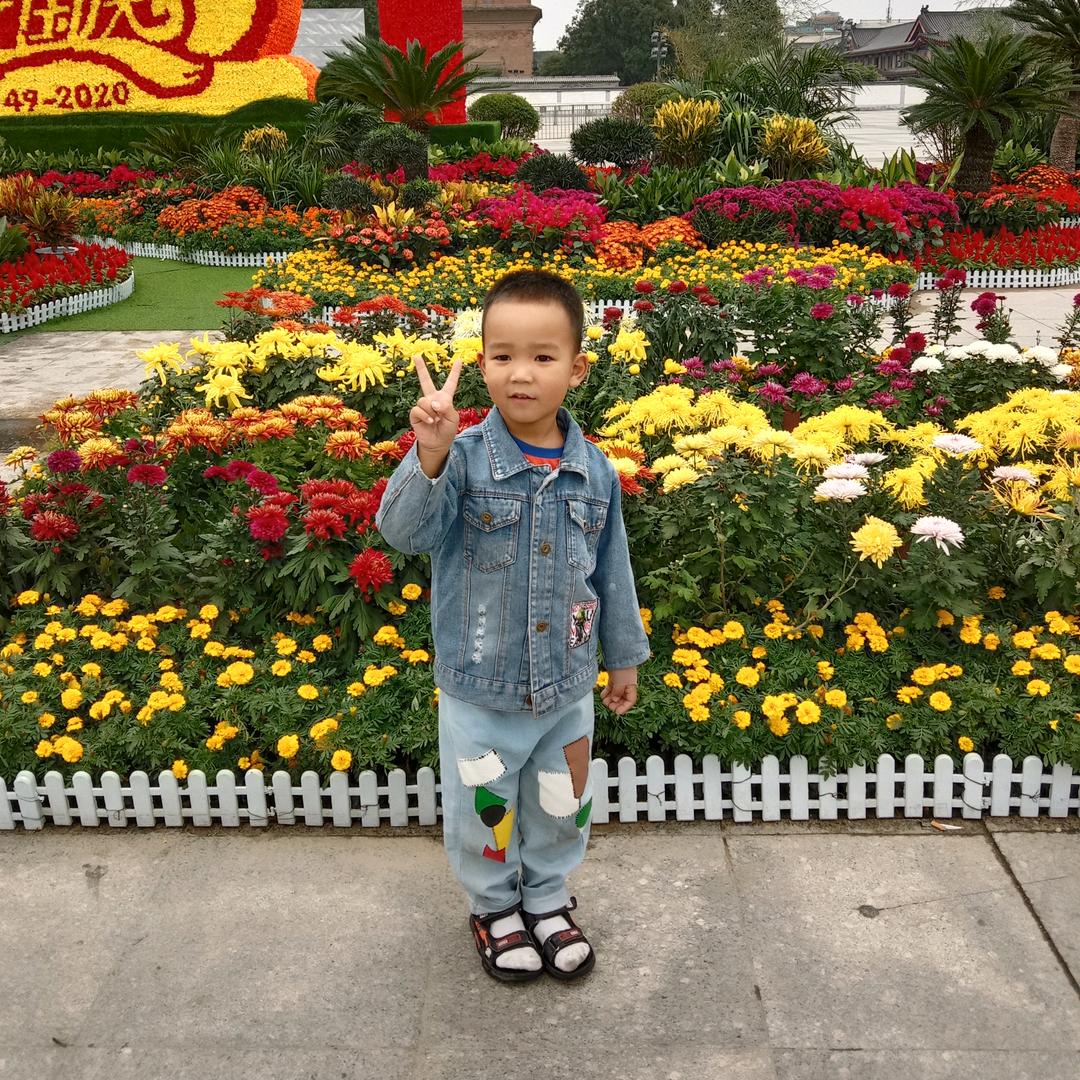 张红