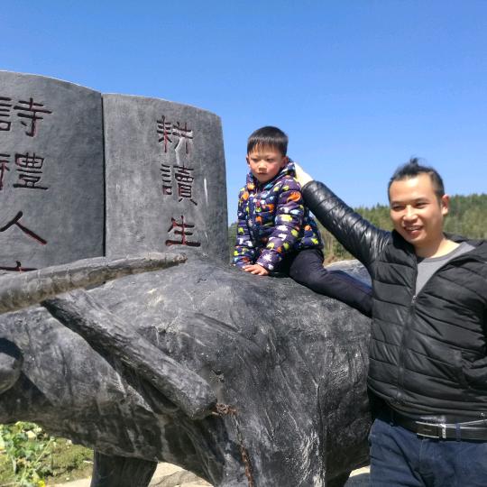 婺源馋猫
