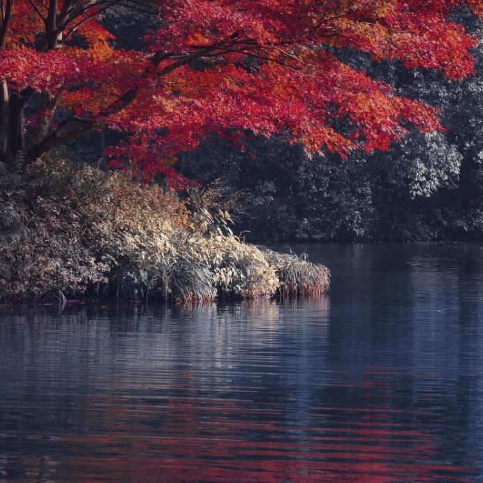 小桥流水