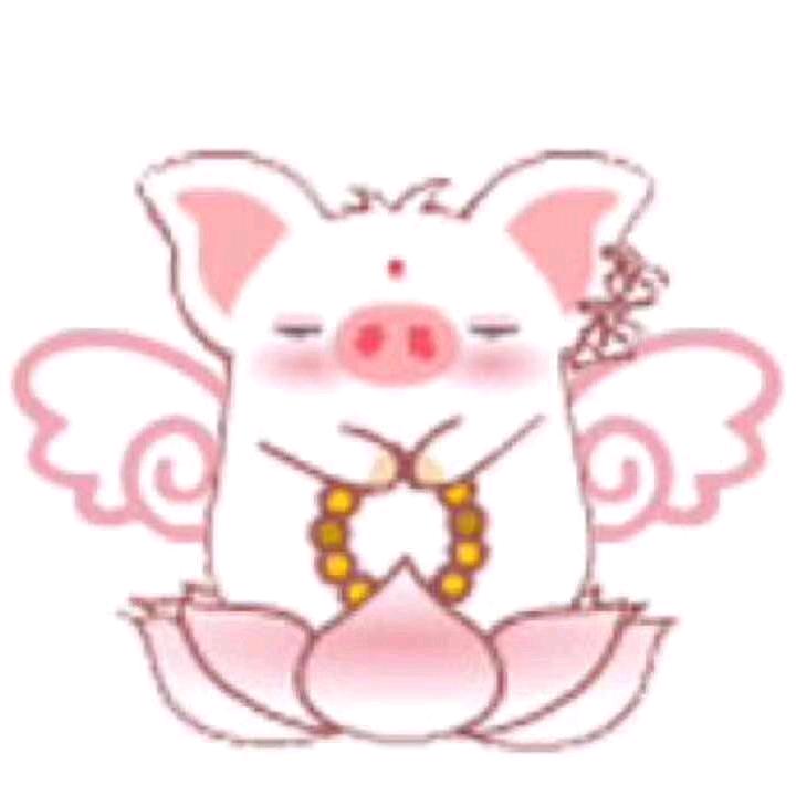 梦飞翔