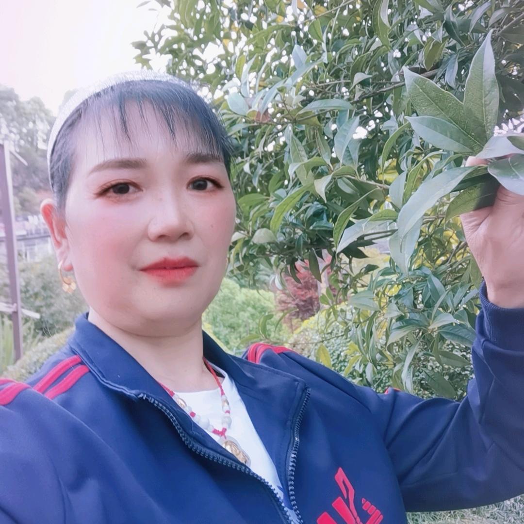 春暖花开