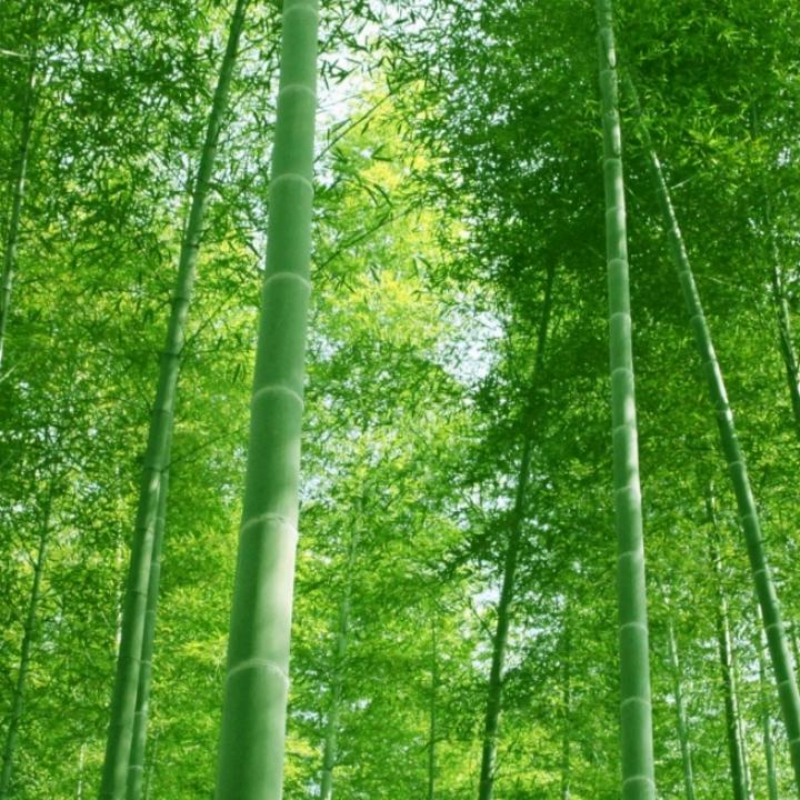 努力干