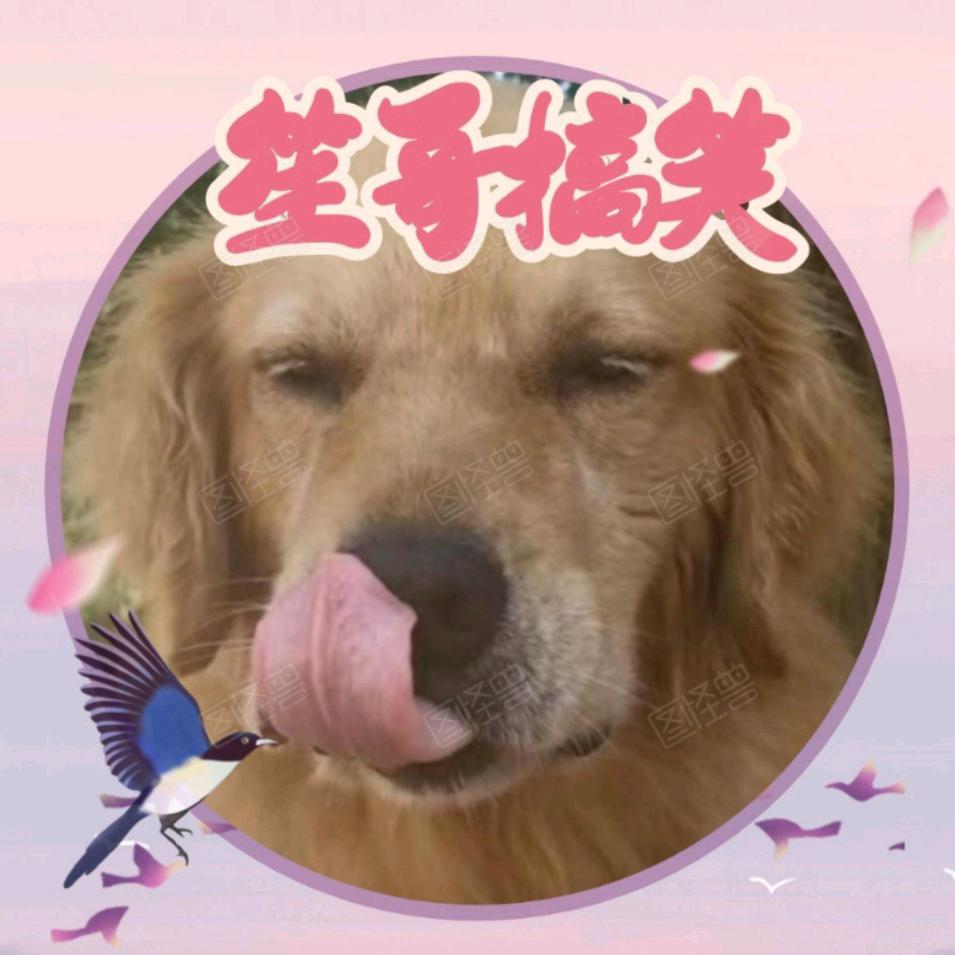 笙哥、抒情、搞笑