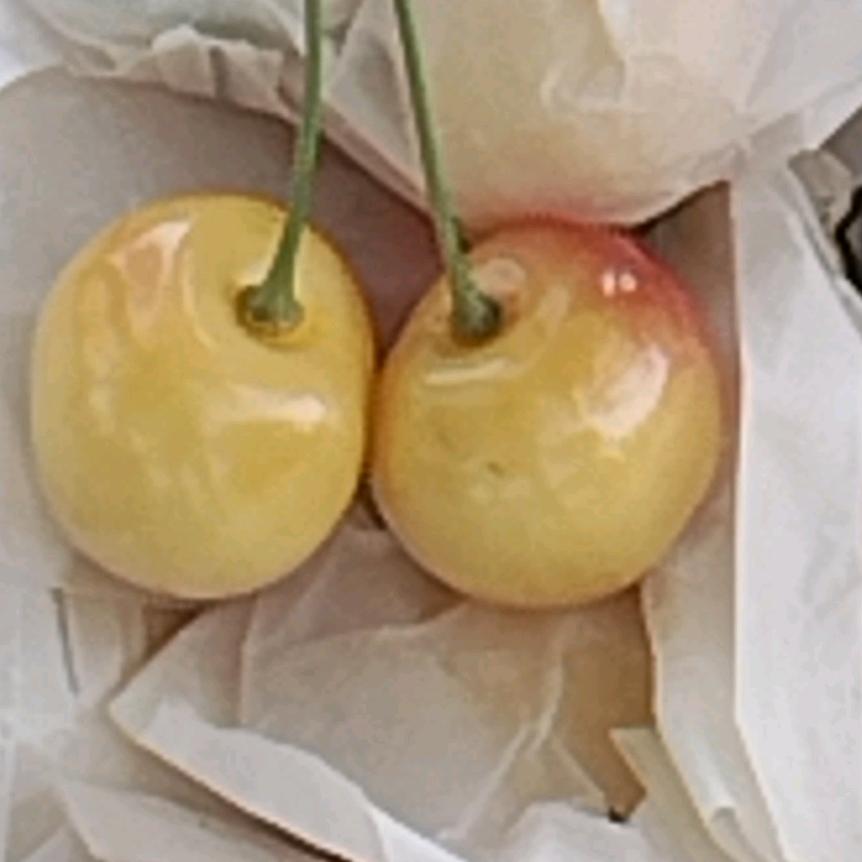 用户5190078511819骆