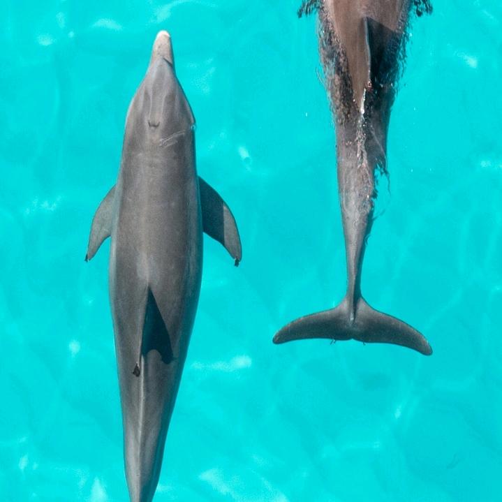 醉梦一人😊