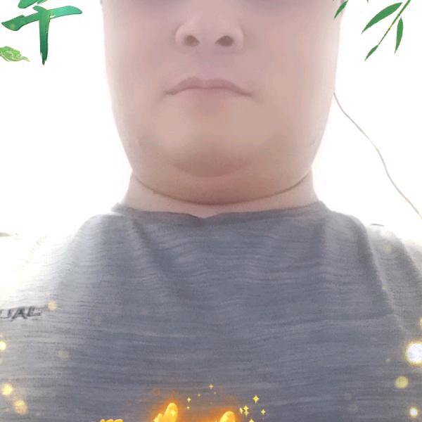 漂泊的鹰