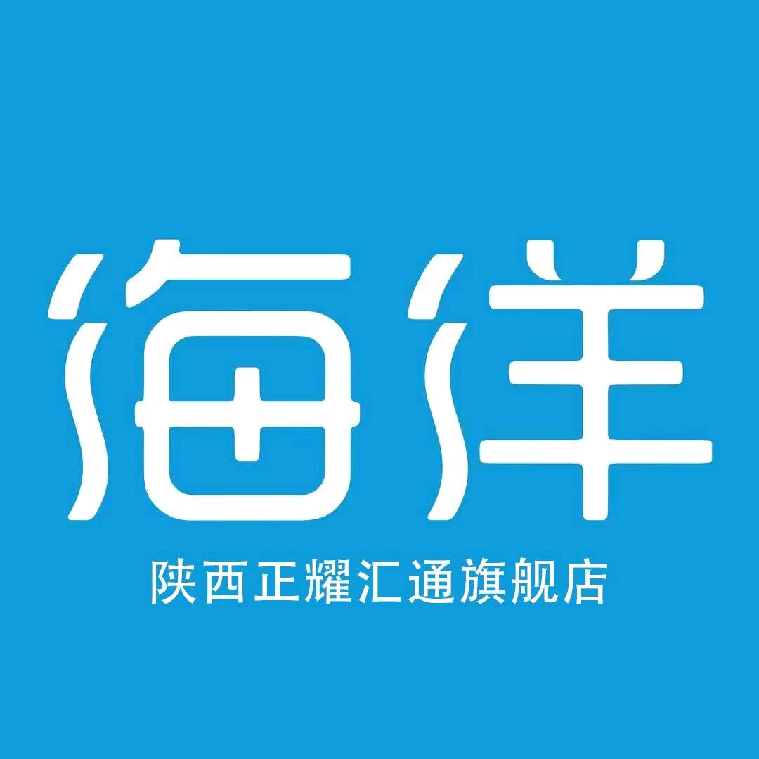 比亚迪海洋网陕西正耀汇通4s店