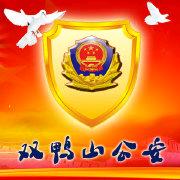 双鸭山公安