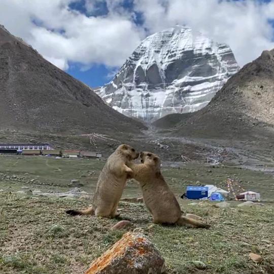 爱好旅行者