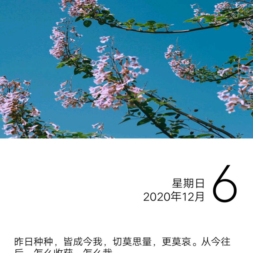 爱情