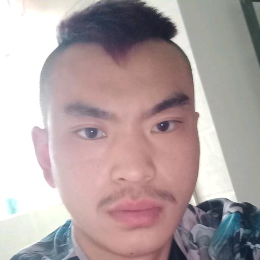 赵强。