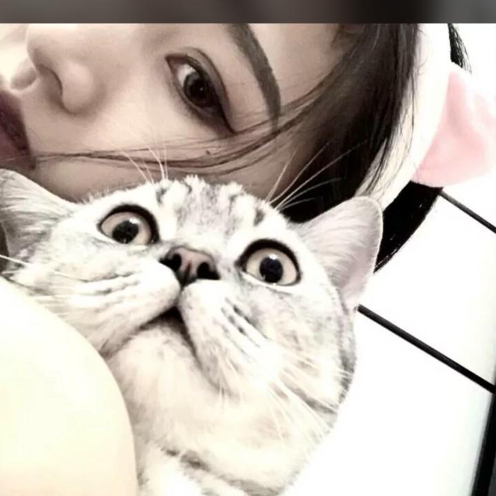 滥情