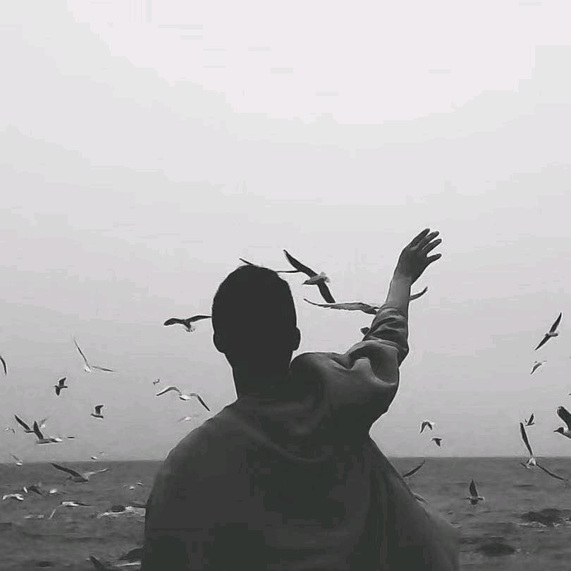 dai