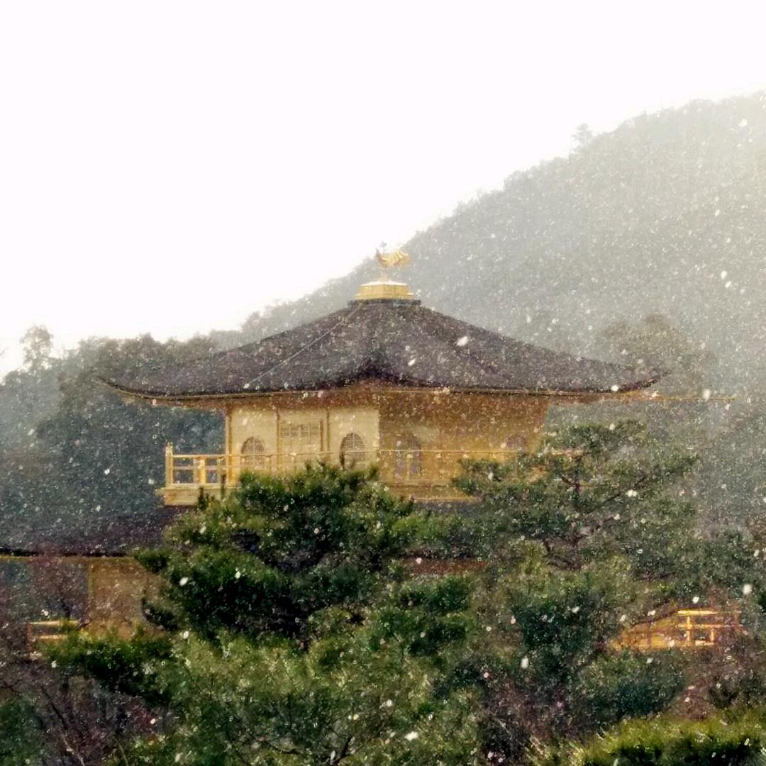 海不扬波北京