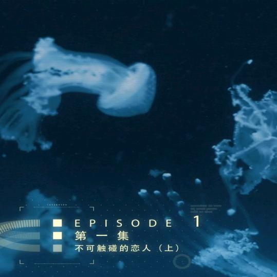 独家忆商贸