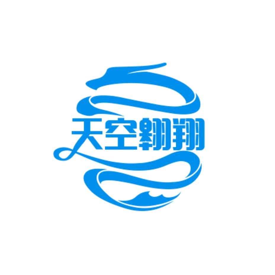 天空翱翔529