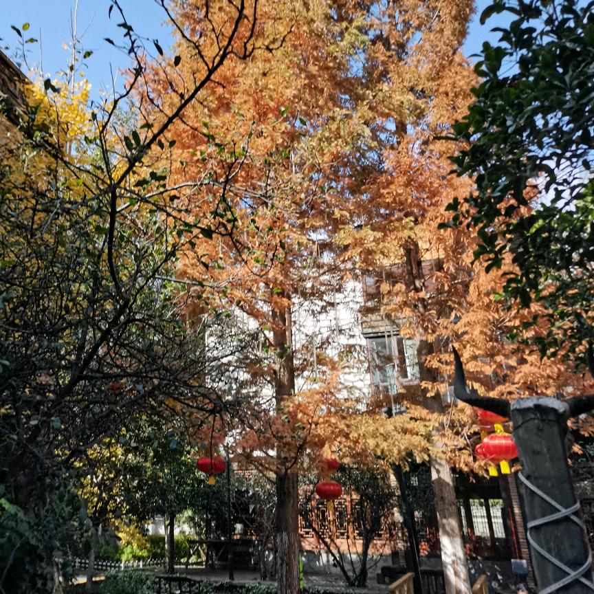 尔玛大姐