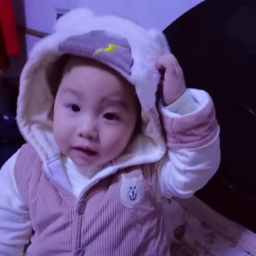 风是兴起