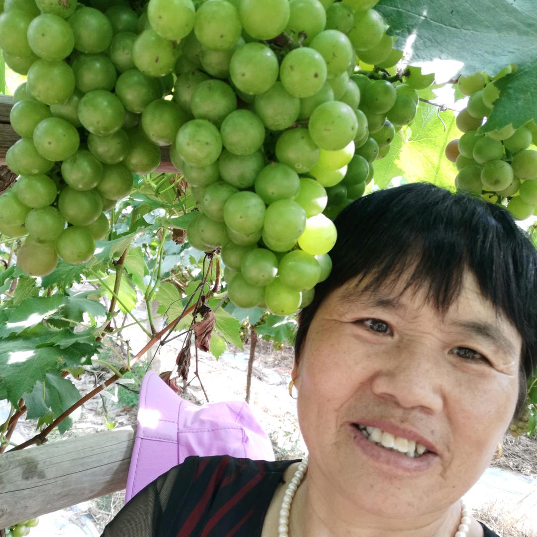 王三姐