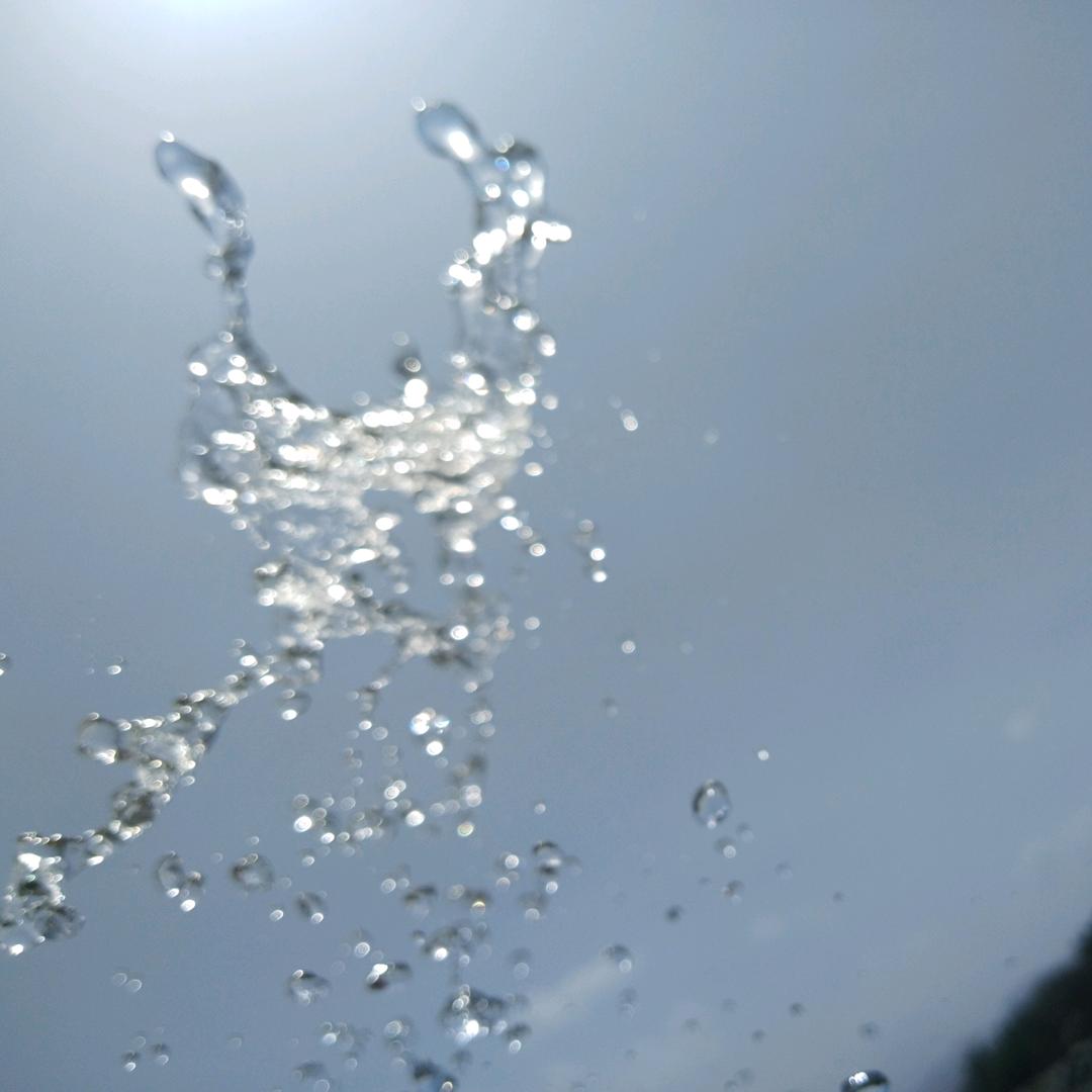 小马哥～