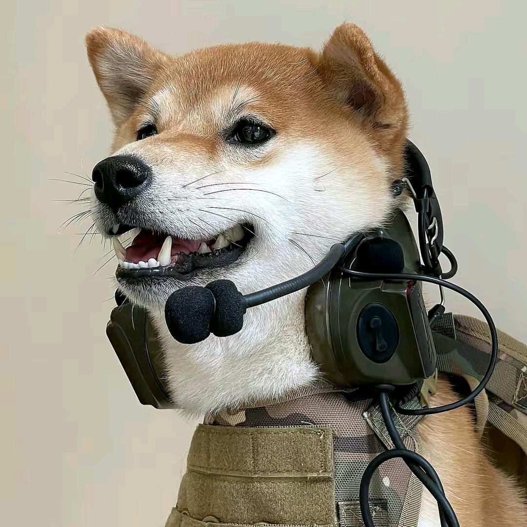 只只
