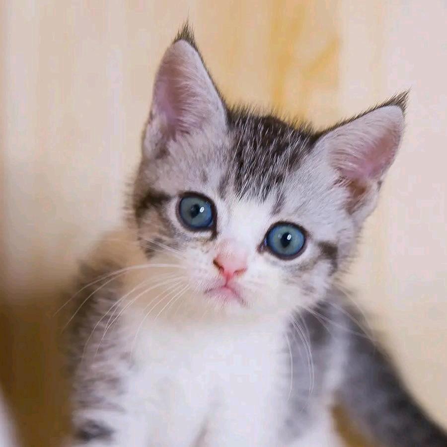 666777888991111！！！！！