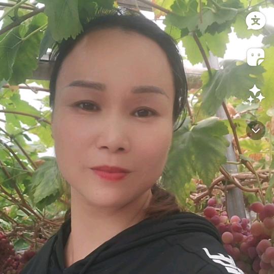 红梅