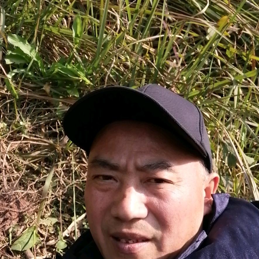 种子