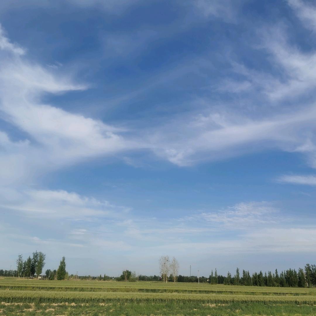 😁😁良辰不负美景