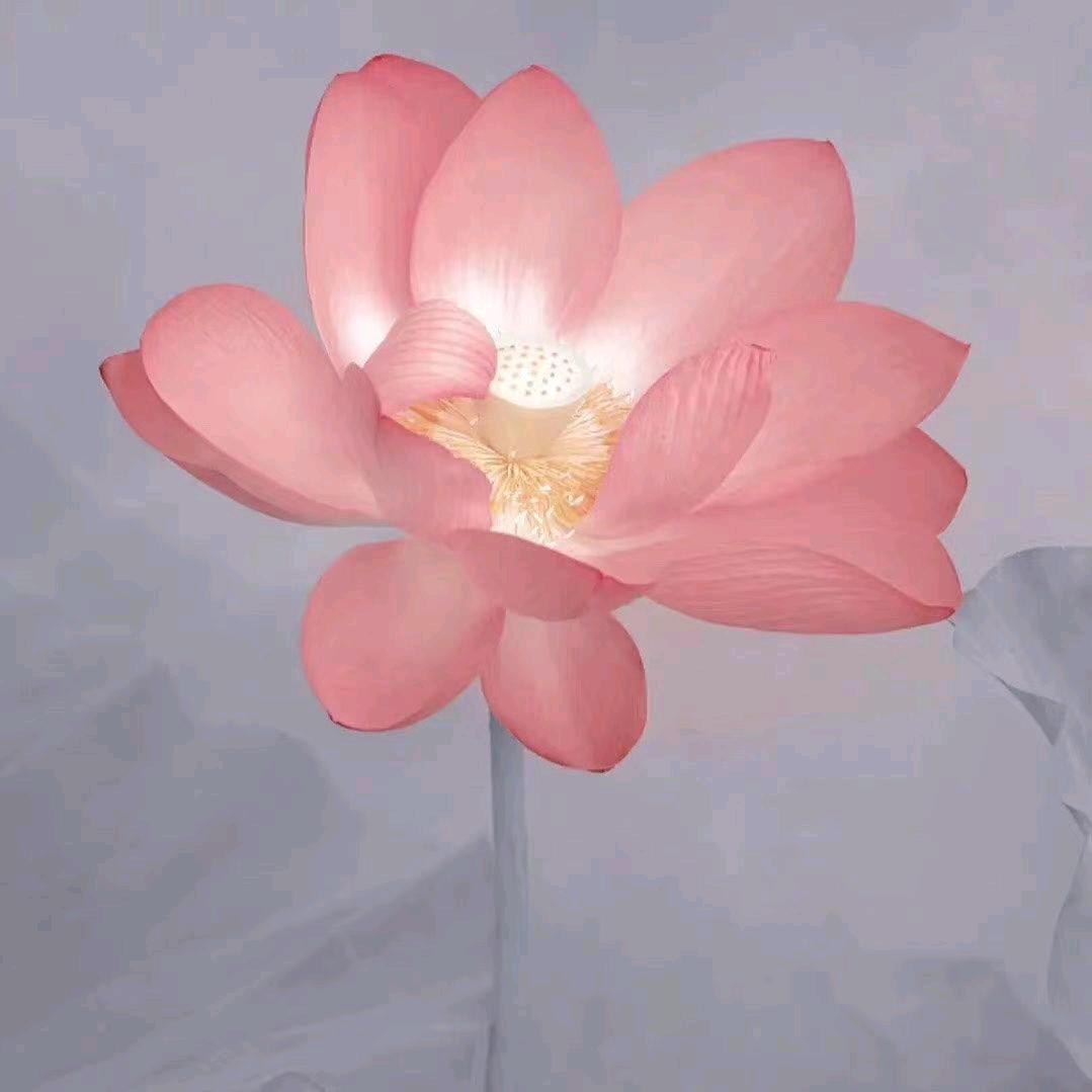 十朵花