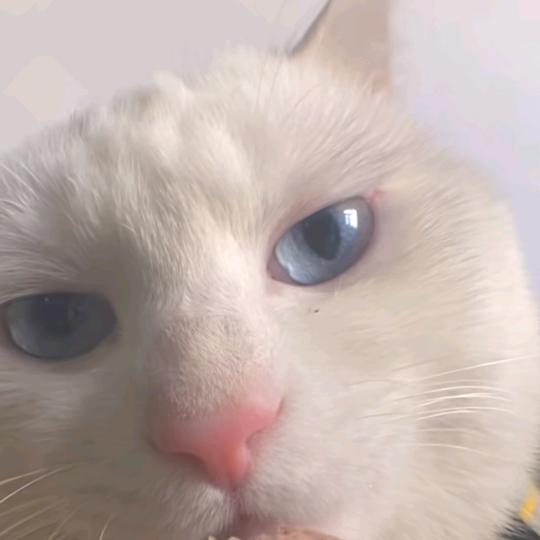 🌈早八快乐人🌈